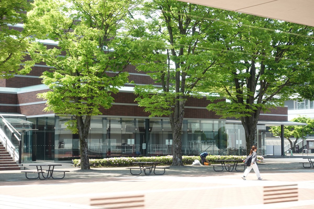 国立音楽大学 tweet media