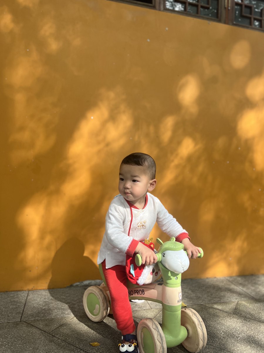 Tyler sherrieb tweet media