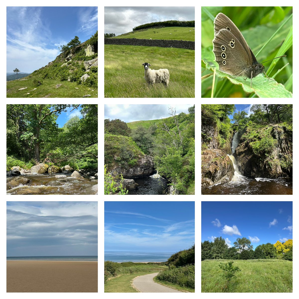 InsightUpNorth's tweet photo. The sign up for @30DaysWild with the @WildlifeTrusts is open. It’s a wonderful way to experience nature connection and it’s free. The collage is from my #30dayswild journey up north in June 2025:
https://t.co/P1zzrHveN9
#nature #mindfulphotography #wellbeing #mentalhealth https://t.co/5WHvJCBBIP
