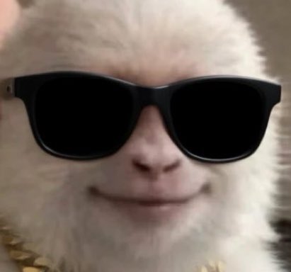 themonkeymode's tweet photo. that stupid white monkey isn’t gonna go away https://t.co/UsyIQFMYUF