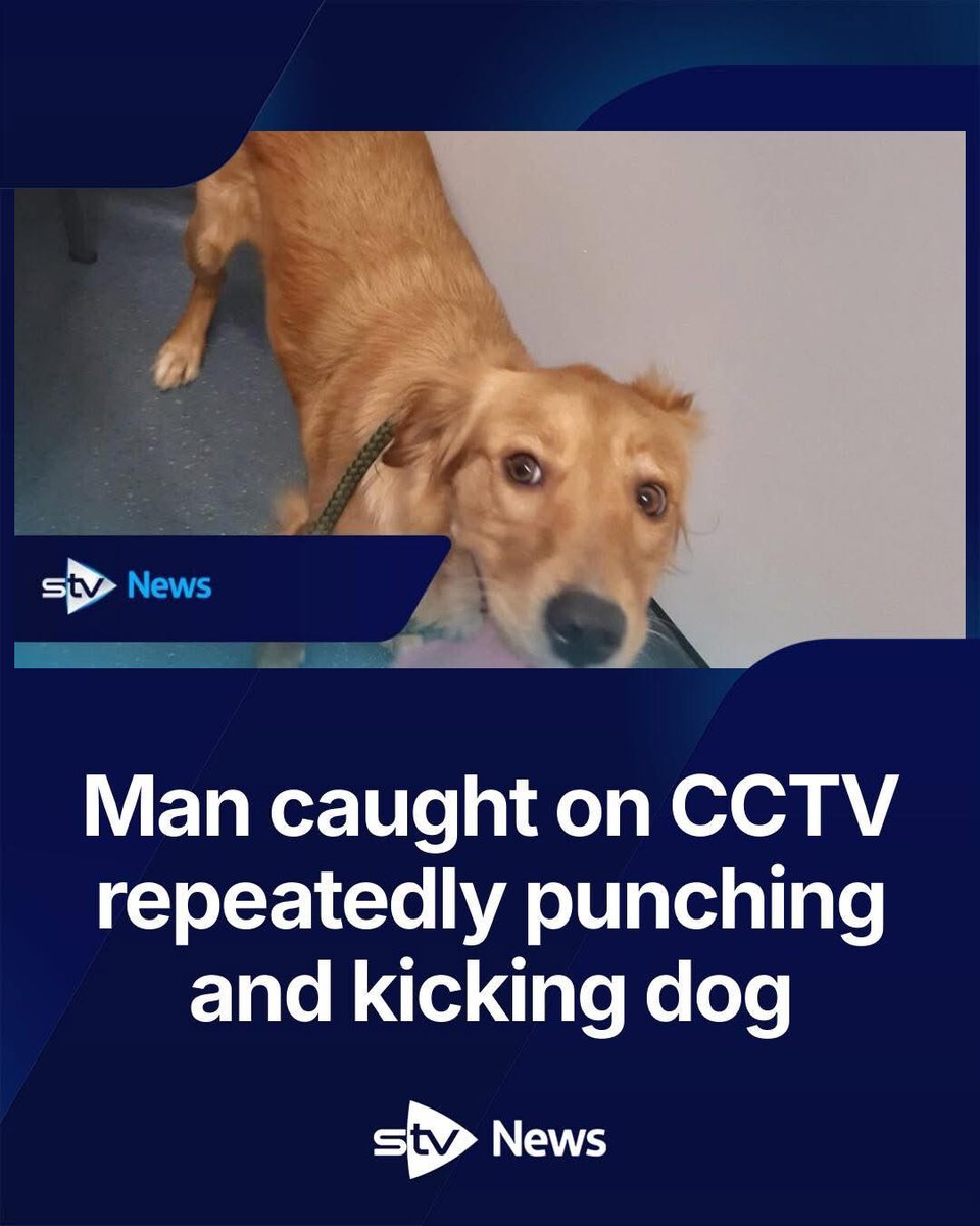 dominic dyer tweet media