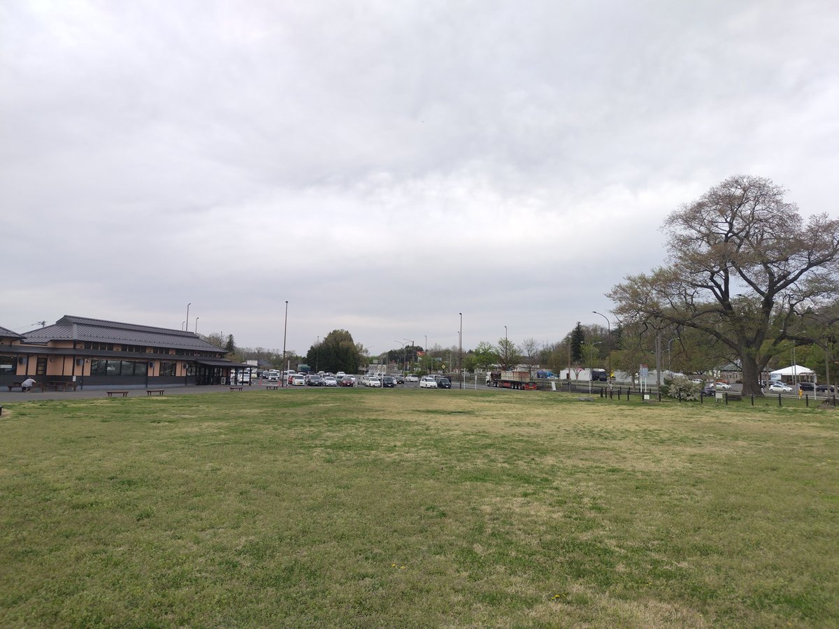 味噌バターポテト tweet media