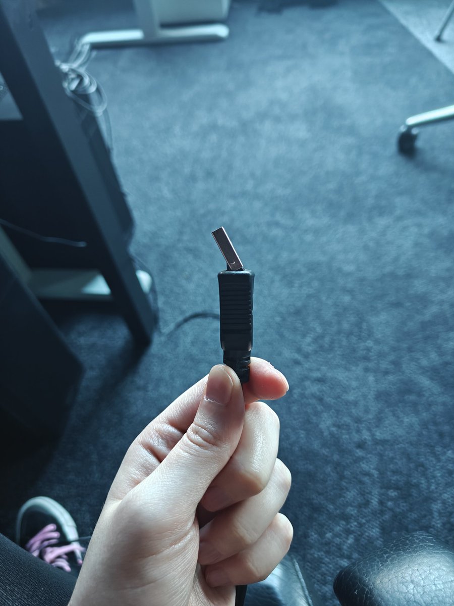 Rikisaurus 🧡🎮 tweet media