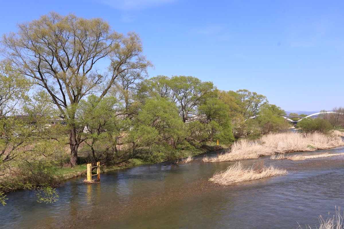 やまいわけん tweet media