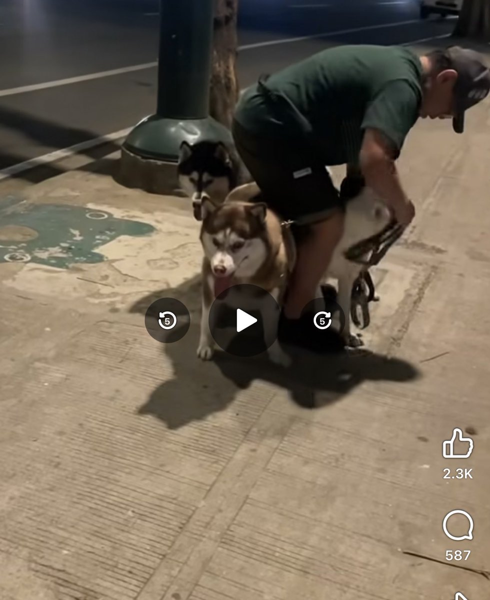 baby honey🐯🍯 tweet media