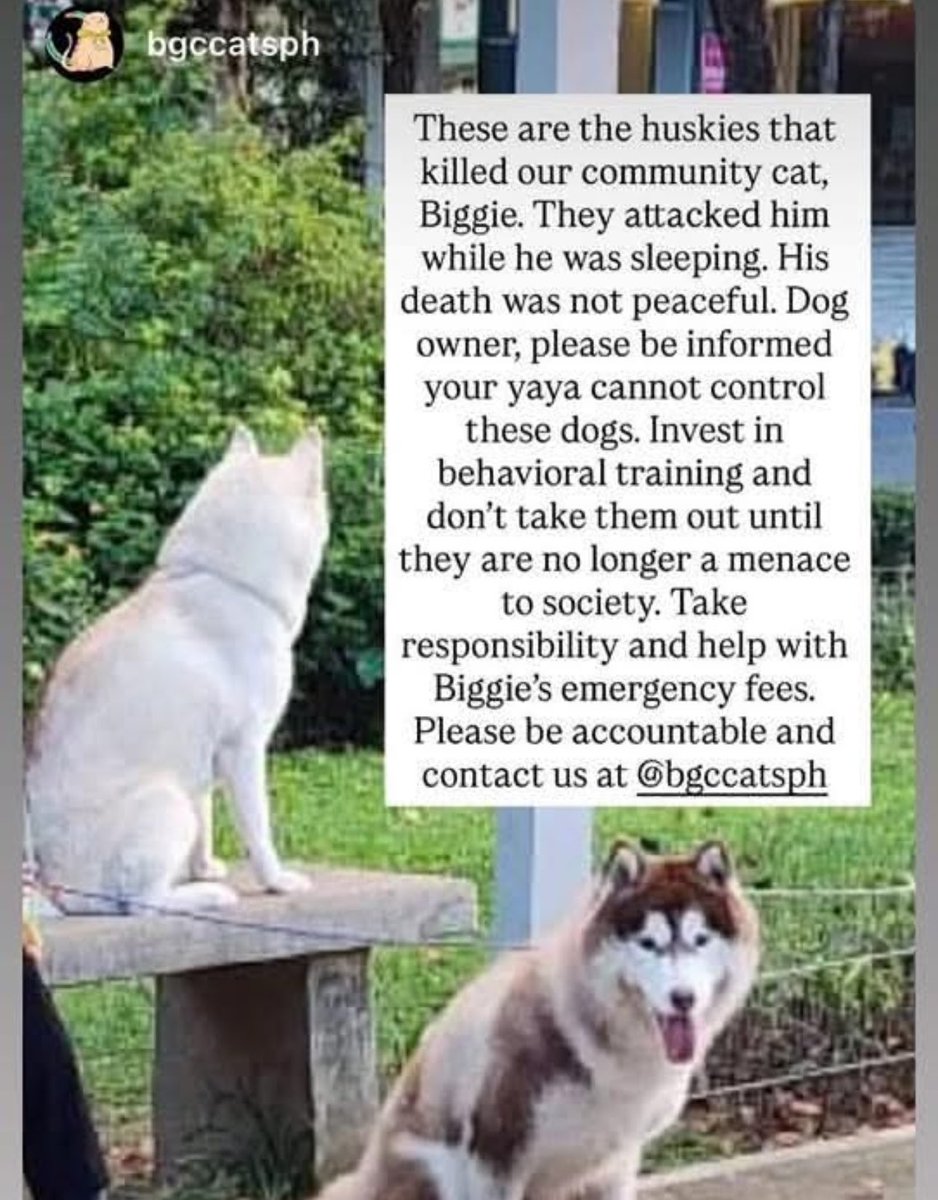 baby honey🐯🍯 tweet media