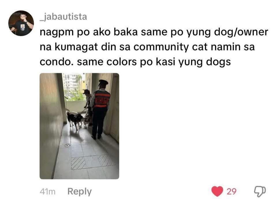 baby honey🐯🍯 tweet media