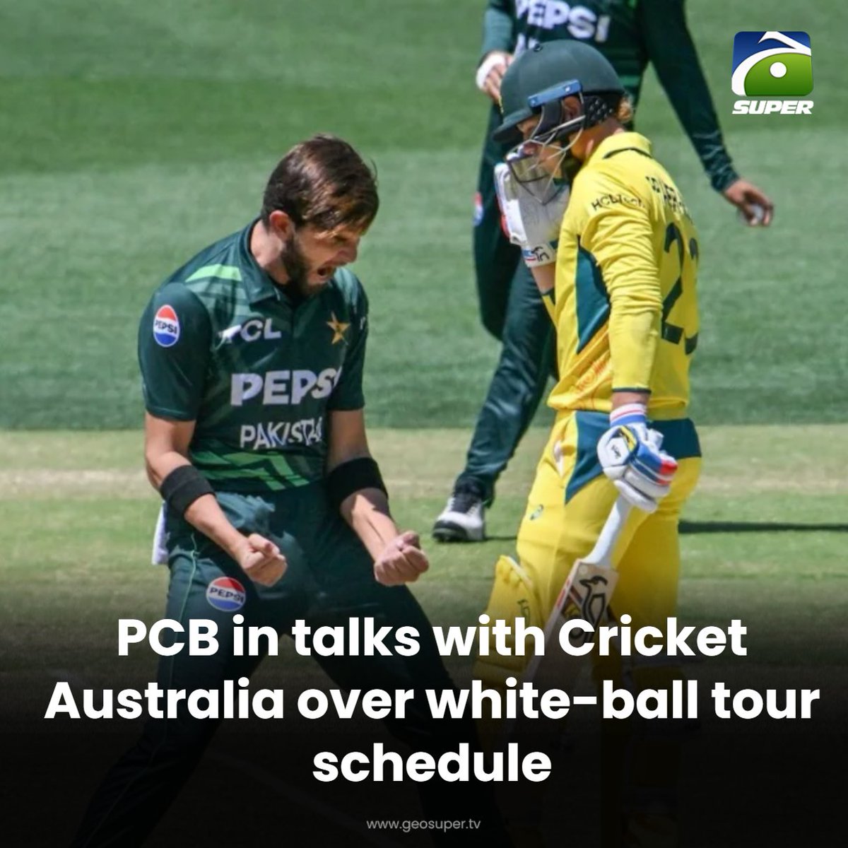 geosupertv's tweet image. Pakistan Australia series plans gain momentum! 😍🏏

Read More: geosuper.tv/latest/55286-p…

#PAKvAUS #PCB #cricketaustralia
