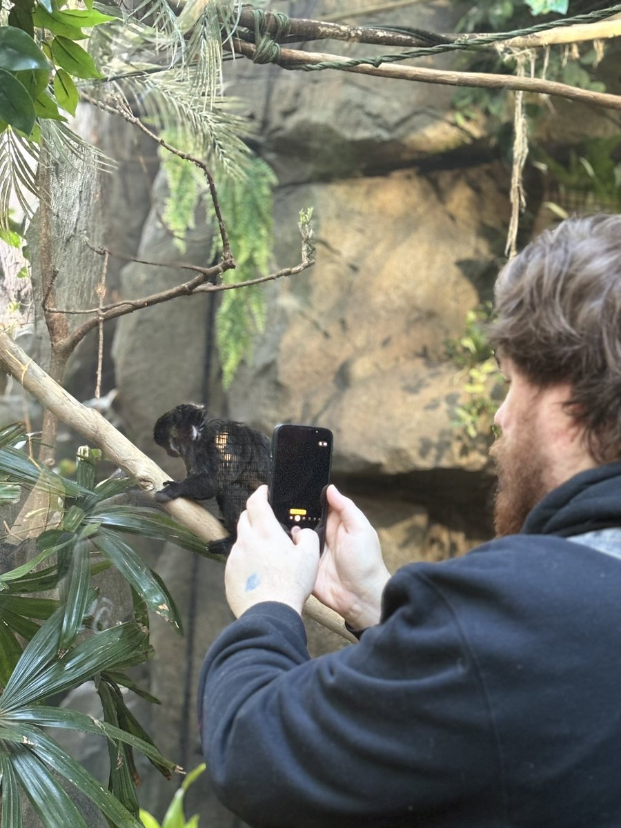 𝗮𝗻𝗴𝗲𝗹𝗹𝗲𝘀𝗾𝘂𝗲 tweet media