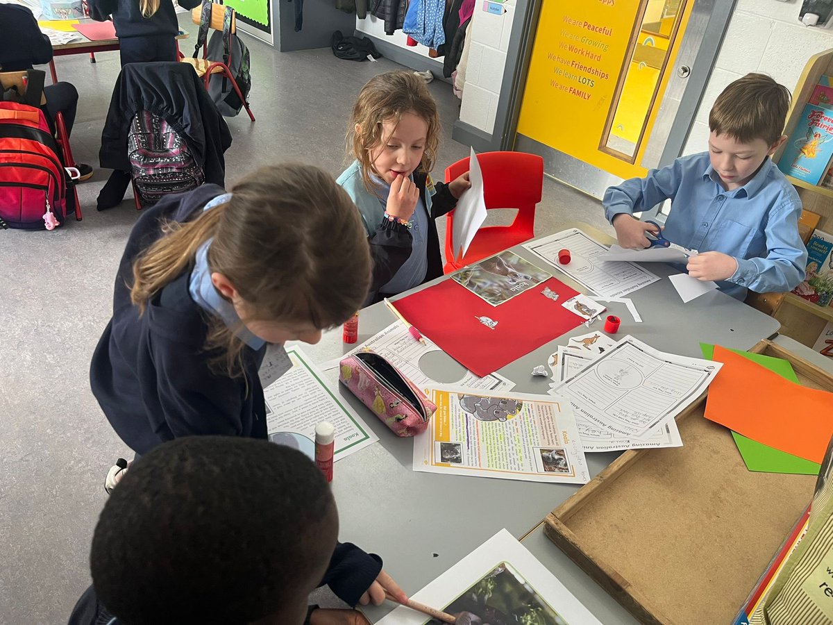 Holy Family Junior School tweet media