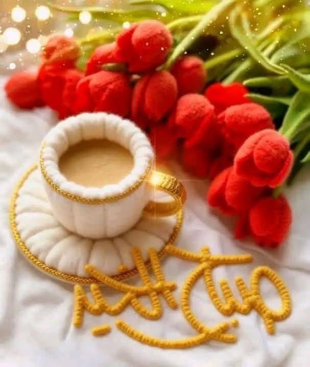 ❤️Mervat❤️ tweet media