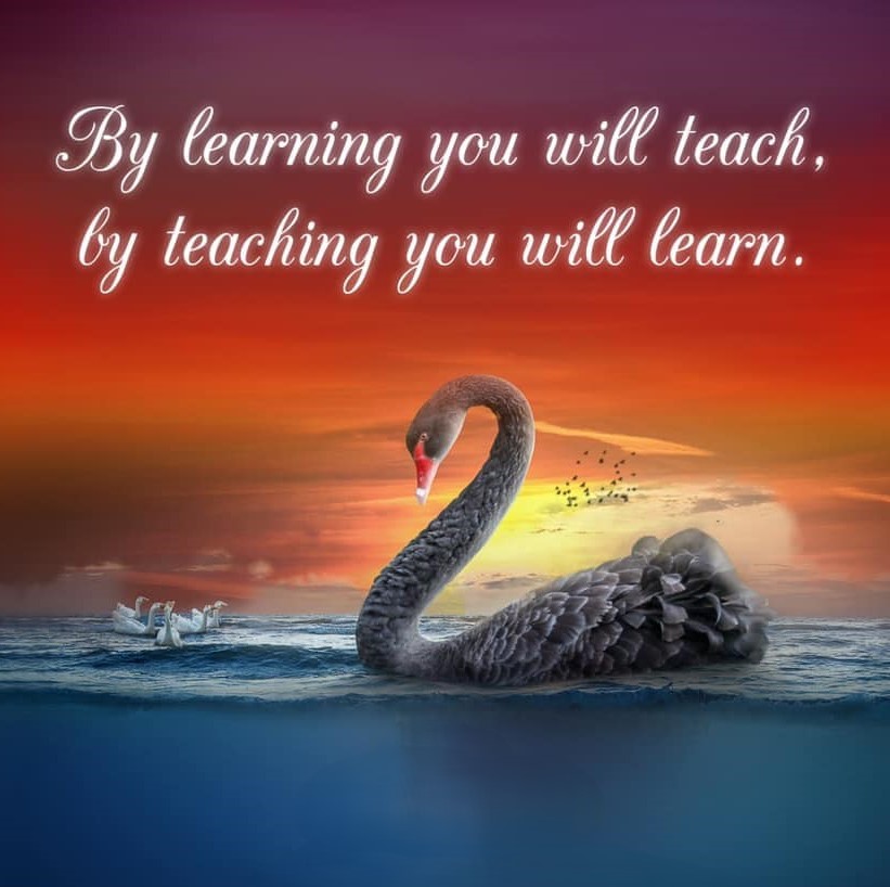 IT Wing tweet media