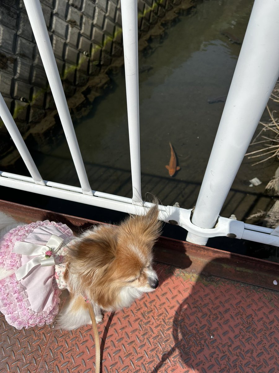 ゆうこさん tweet media