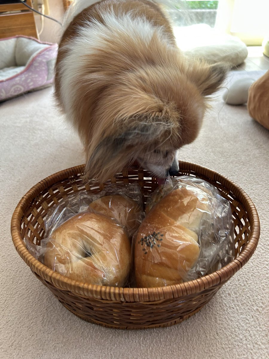 ゆうこさん tweet media