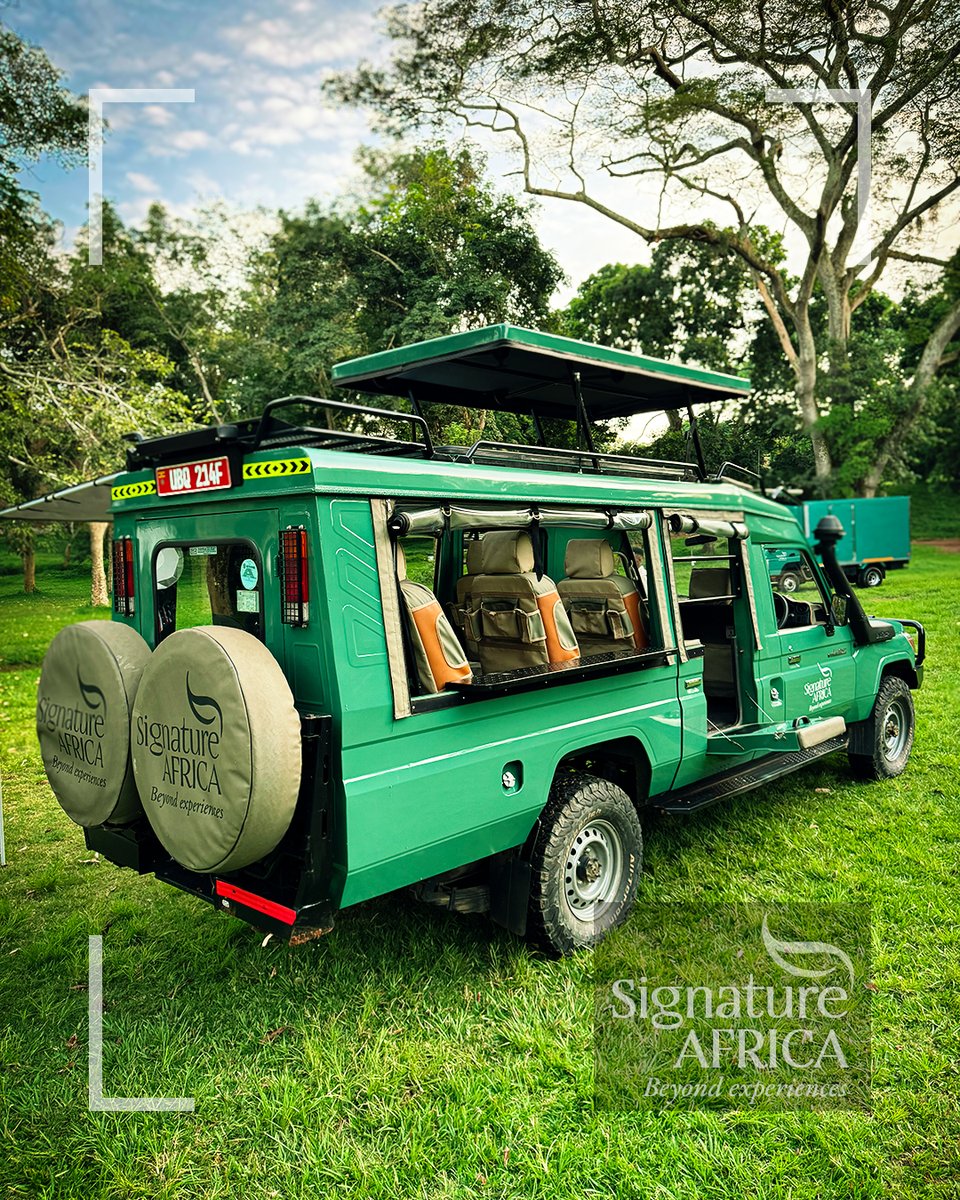 AfricaSafariss's tweet photo. The ultimate seat for the ultimate view. Experience Africa, the Signature way.
#SignatureAfrica #BeyondExperiences #SafariAdventure #VisitUganda #ExploreAfrica #LuxuryTravel https://t.co/Bo8lolRjjn