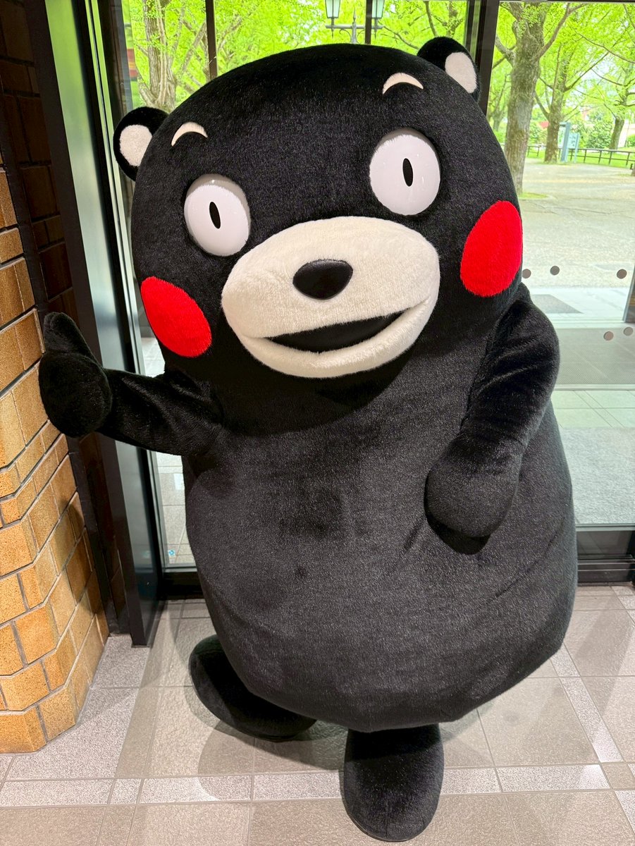 55_kumamon's tweet image. おはくま〜！今日もはりきっていくモン！