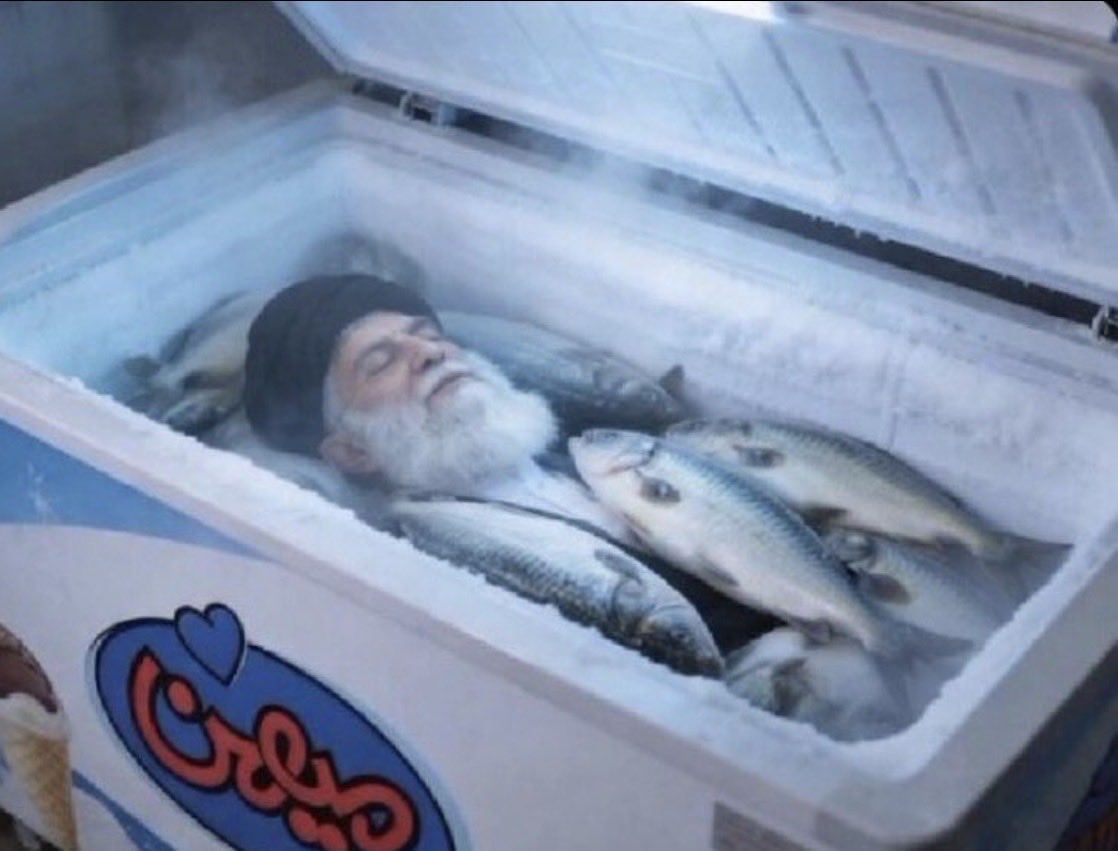 صقر الجزيرة tweet media