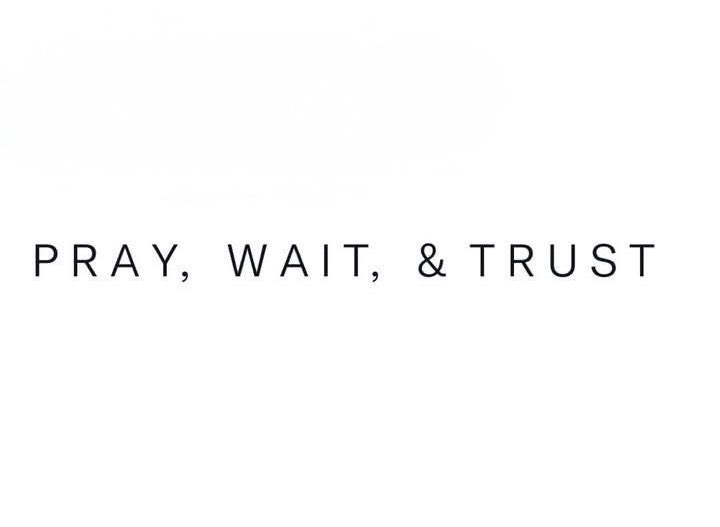 Holy Bible tweet media