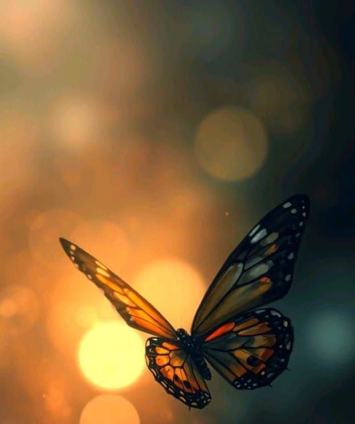 عٓـًـُــــــٌ Oََmََarَََََ ـــُــــــْمـرَََََ 🌿 tweet media