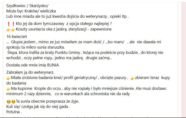 Robwalka Wolf tweet media