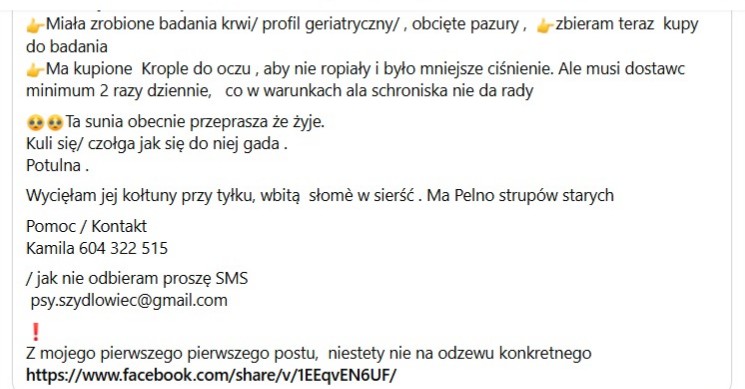 Robwalka Wolf tweet media