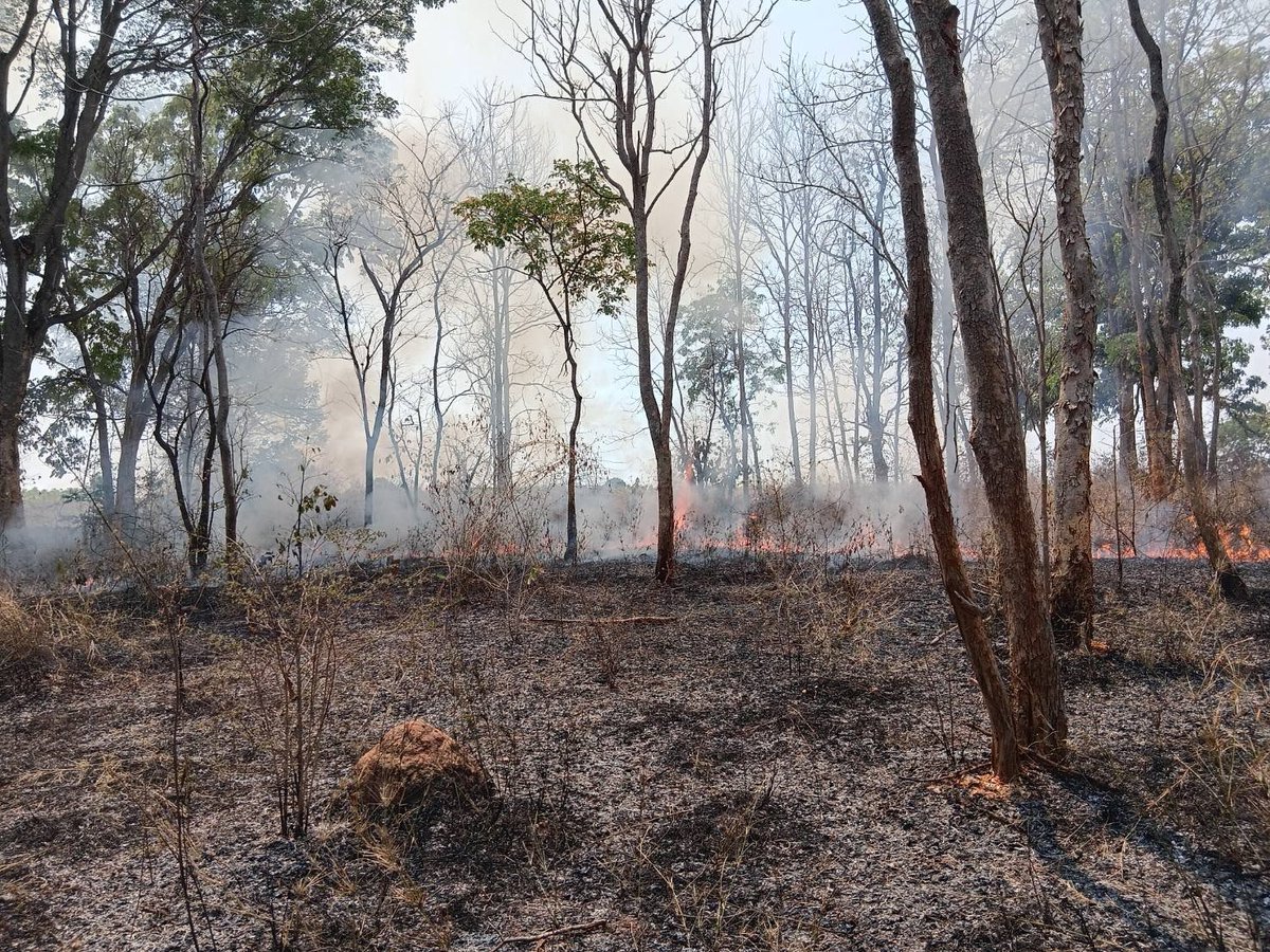 Helmut Duerrast tweet media