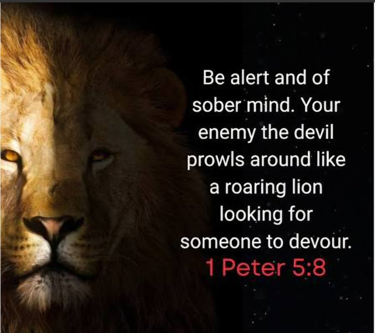 the_final_2031's tweet image. #Jesus #secondcoming #Maranatha2031 #thegreatdeception #EllenWhite #Sabbath #seventhday #sundaylaw #bluelaws #markofthebeast #10commandments #God #Christian #prophecy #thirdtemple #Jerusalem #Bible #Christ #Lord