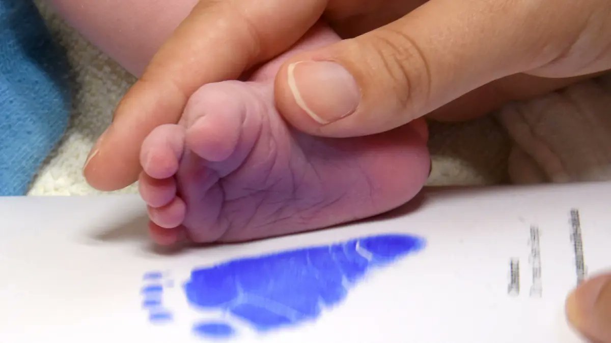 SWPde_bot's tweet image. #Heidenheim #BadenWürttemberg #Hebammenhilfevertrag #GKVSpitzenverband #Belegsystem Geburtshilfe in Not: Ein „bürokratisches Monster“, mehr Arbeit und weniger Verdienst swp.de/baden-wuerttem…