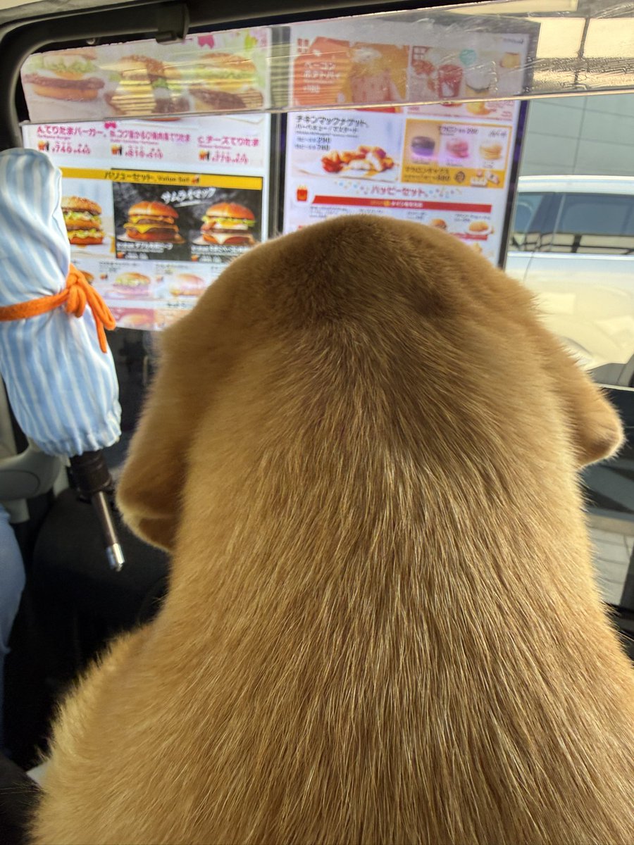 めるみー tweet media