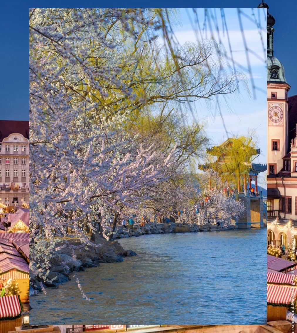 Dustin Gonzalez tweet media