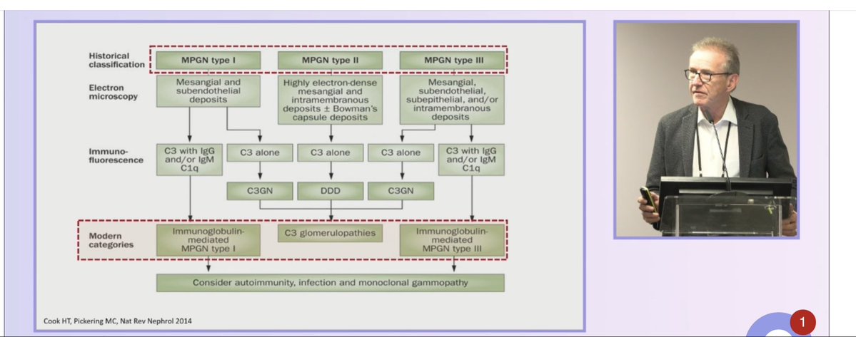 Mohamed Hassanein 🇪🇬 محمد حسنين tweet media