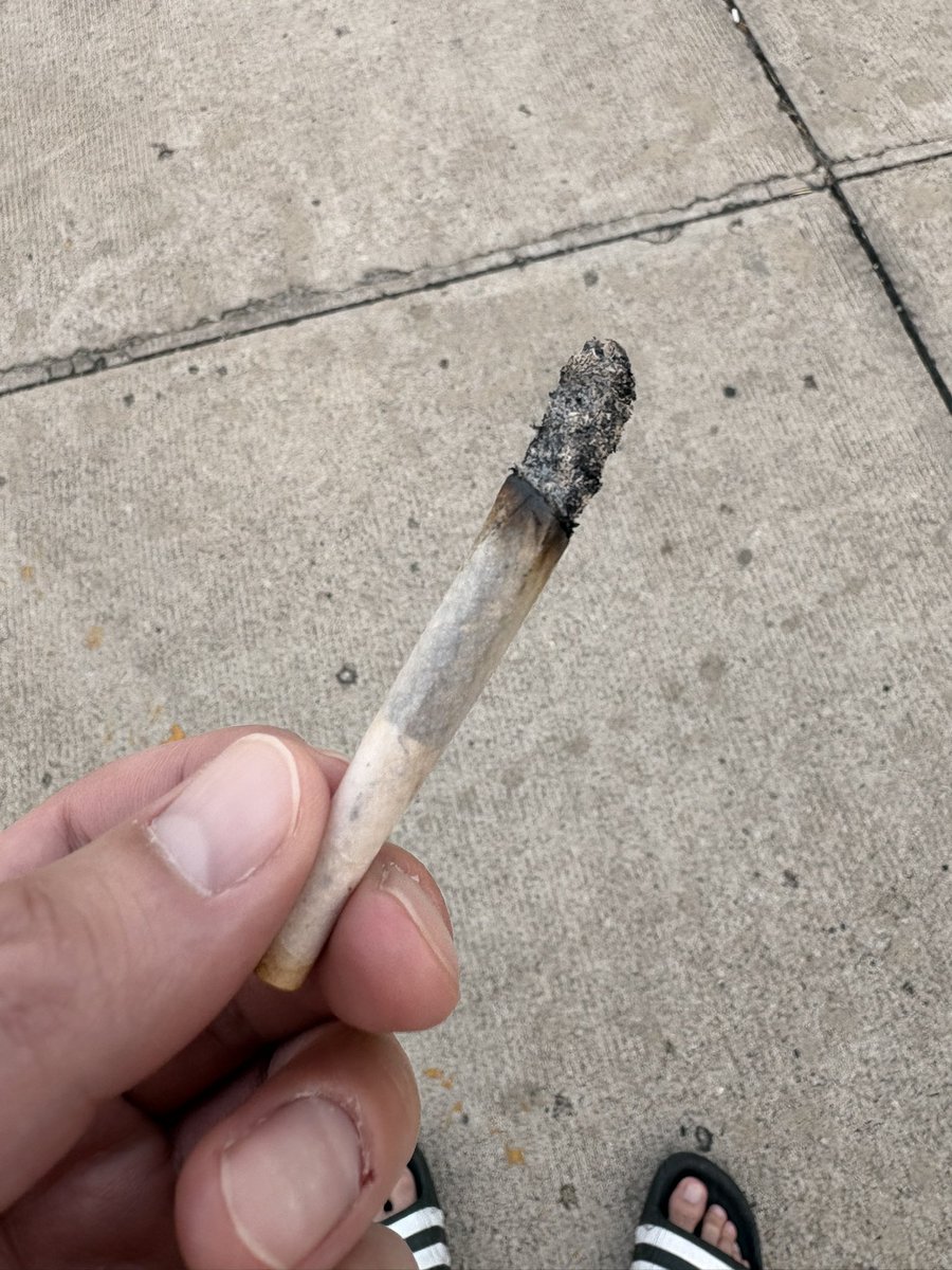 みそ汁 tweet media