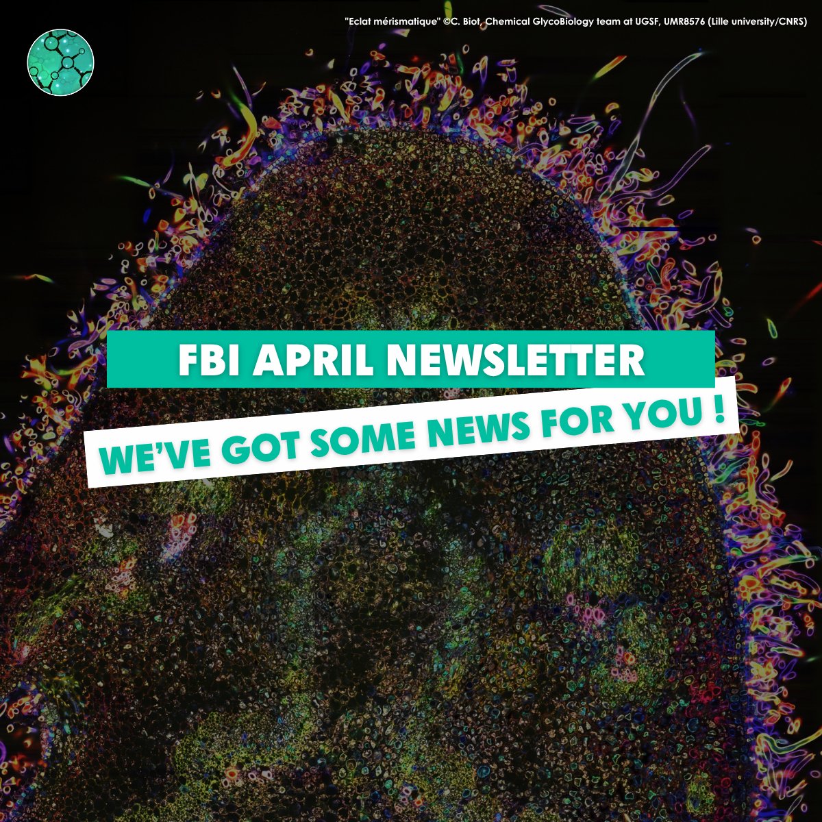 France-BioImaging Research Infrastructure tweet media