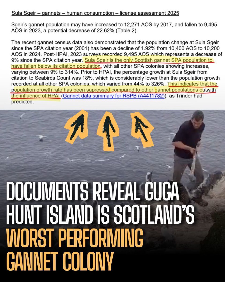 Protect the Wild tweet media