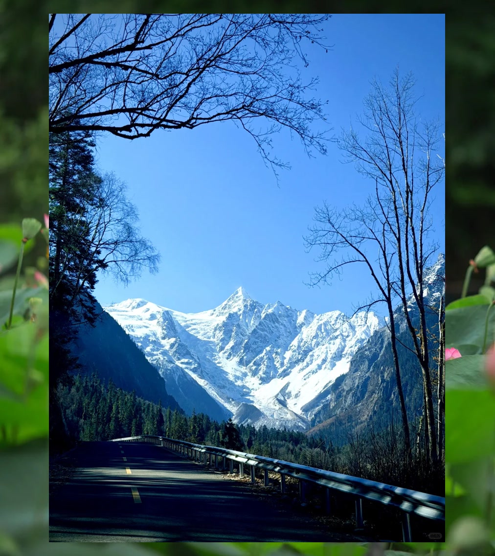 Terry Ruff tweet media