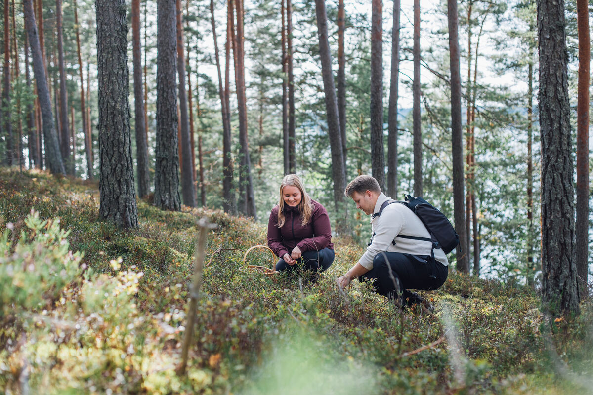visitfinlandjp's tweet photo. 🌲フィンランドには、群島の海岸線、湖水地方の静かな湖畔、ヘルシンキ近郊の森林トレイル、そしてラップランドの手つかずの丘陵地帯まで、ヨーロッパでも屈指の美しさとアクセスの良さを誇る41の国立公園があります。無料で楽しめます。
📸 1&amp;3) Julia Kivelä, 2) Terttu Hermansson/Metsähallitu https://t.co/TCEjPsnzUf
