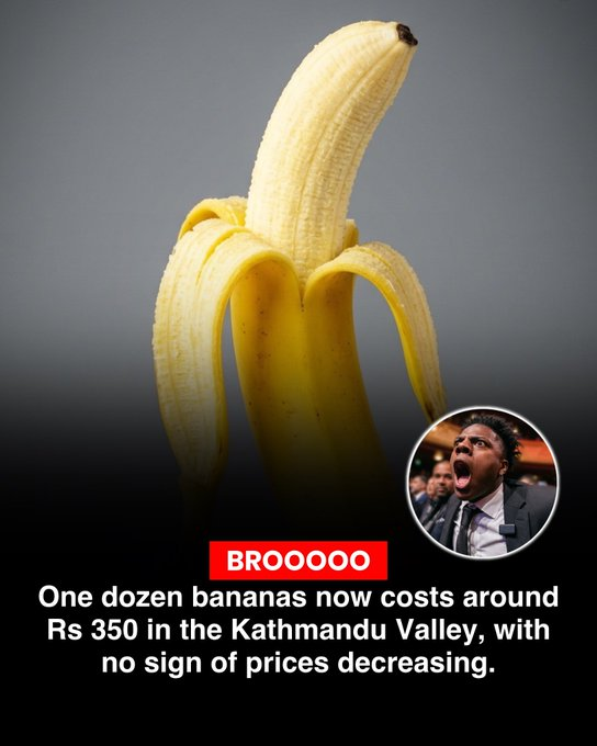 NepseStock's tweet photo. Same price ma #JBBL kinau bhannne inside aayeko thiyo. Tara tyo pani ghatne kunai sign nai dekhiyena. 😂😂 https://t.co/631WdpVF2E