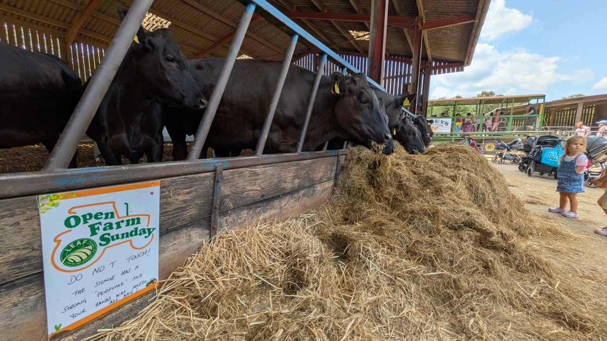 OpenFarmSunday tweet media