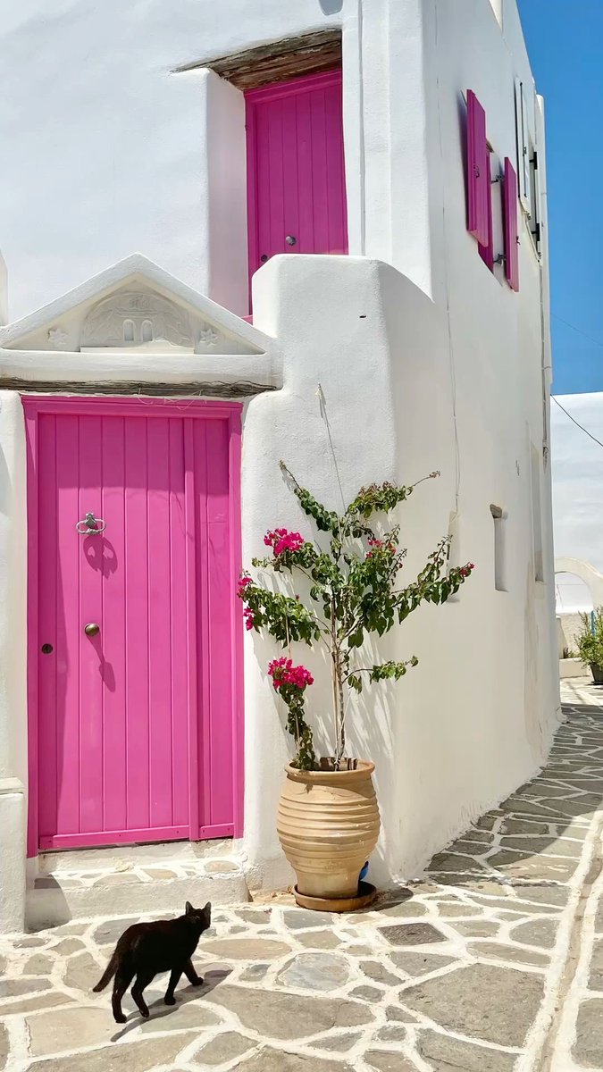 HeavenOnEarth tweet media