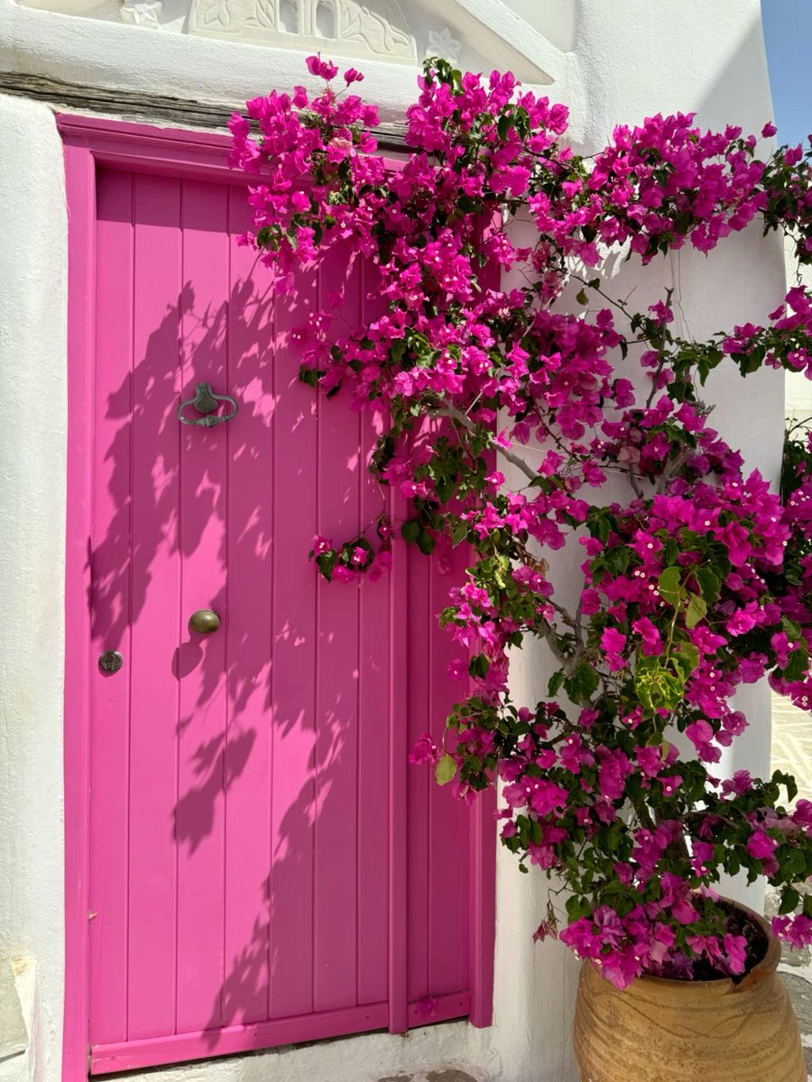 HeavenOnEarth tweet media