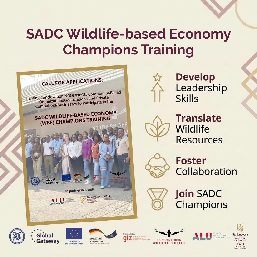 WildlifeEconomy's tweet image. Apply now: SADC Wildlife-Based Economy Champions Training, 27–31 July in Johannesburg. Open to those working on wildlife economy/livelihoods in SADC countries. One fully funded spot per country. Deadline: 28 April. Info/apply: bit.ly/4erlz9q #WildlifeEconomy #SADC