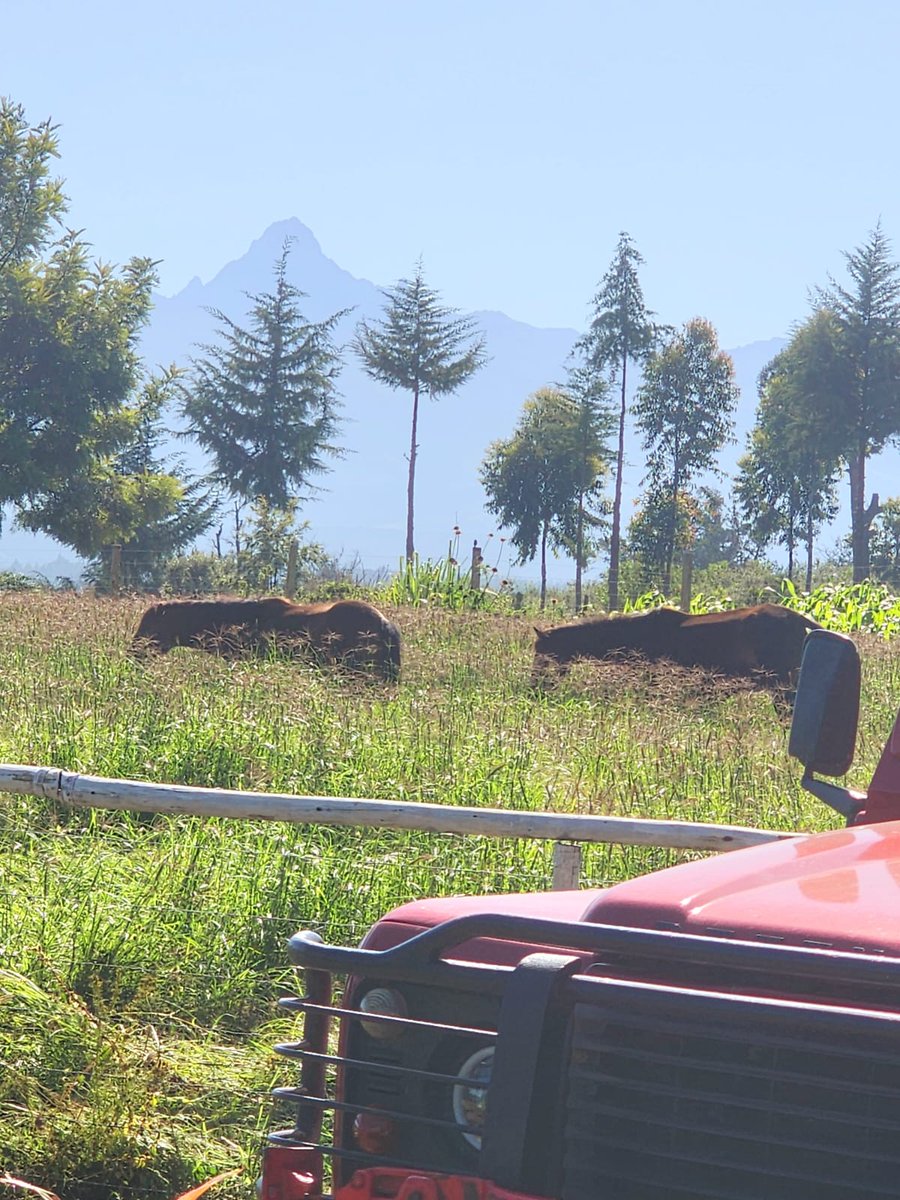 Laikipia Ranches tweet media