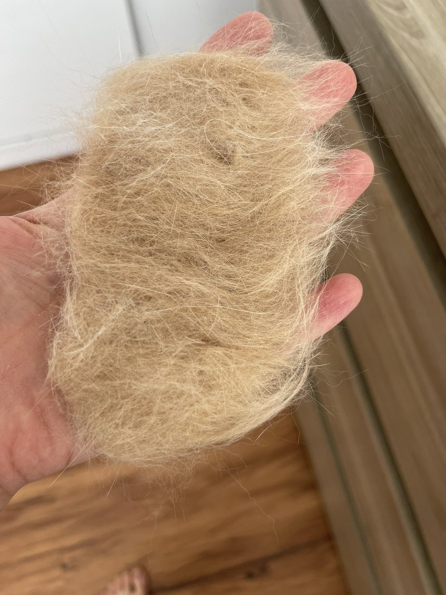 تيرچه ملوك tweet media