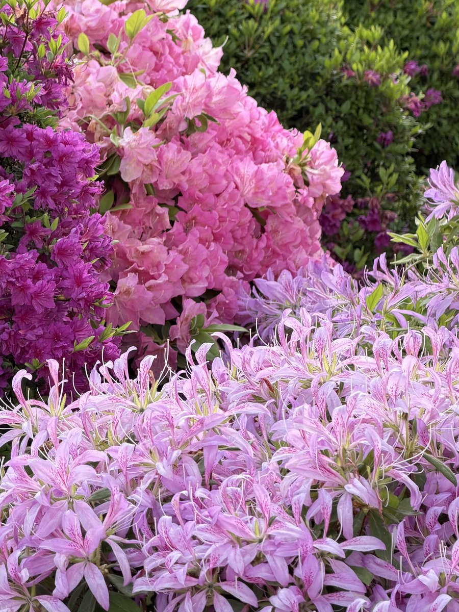 陈尔冬是你大爷 tweet media