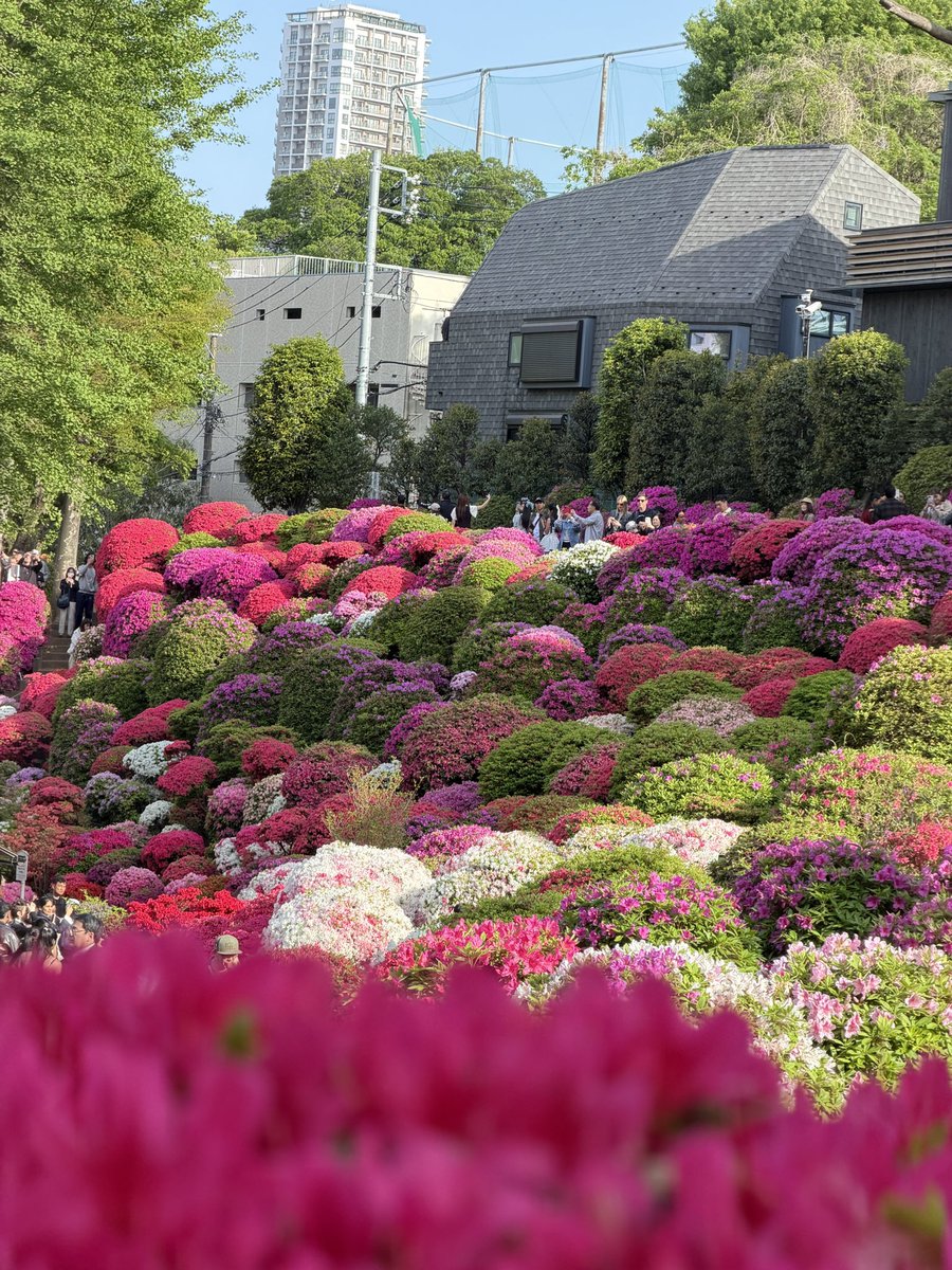 陈尔冬是你大爷 tweet media