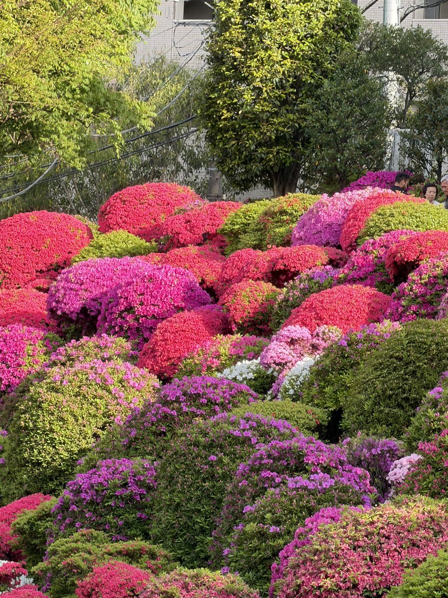 陈尔冬是你大爷 tweet media