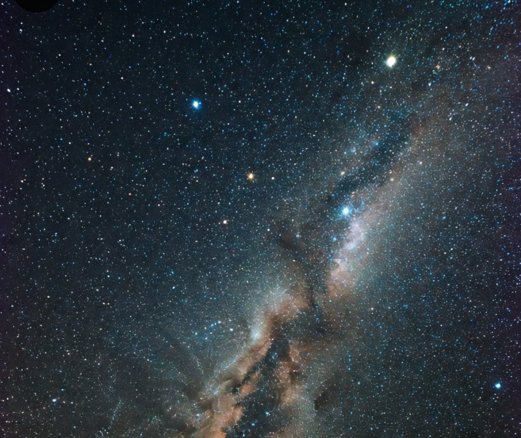 The Sailing Academy tweet media