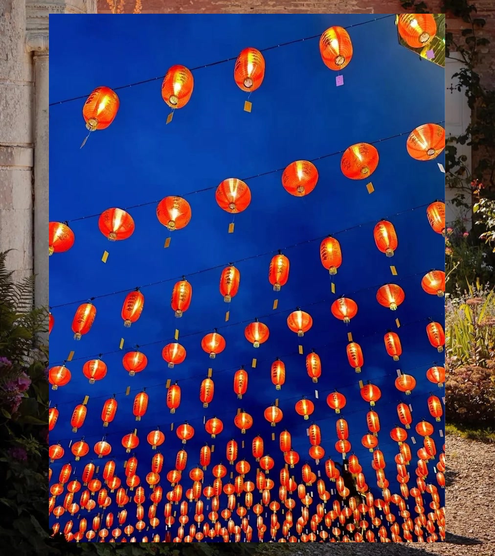 Sandy Adams tweet media