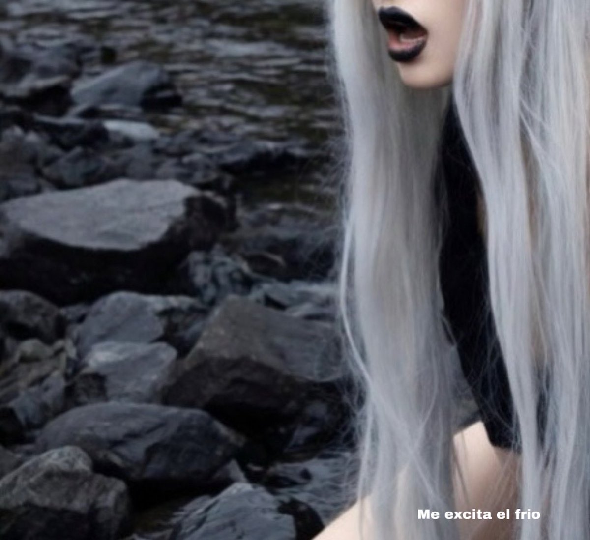 𝖊𝖑𝖋𝖆𝖓𝖊𝖋𝖋 tweet media