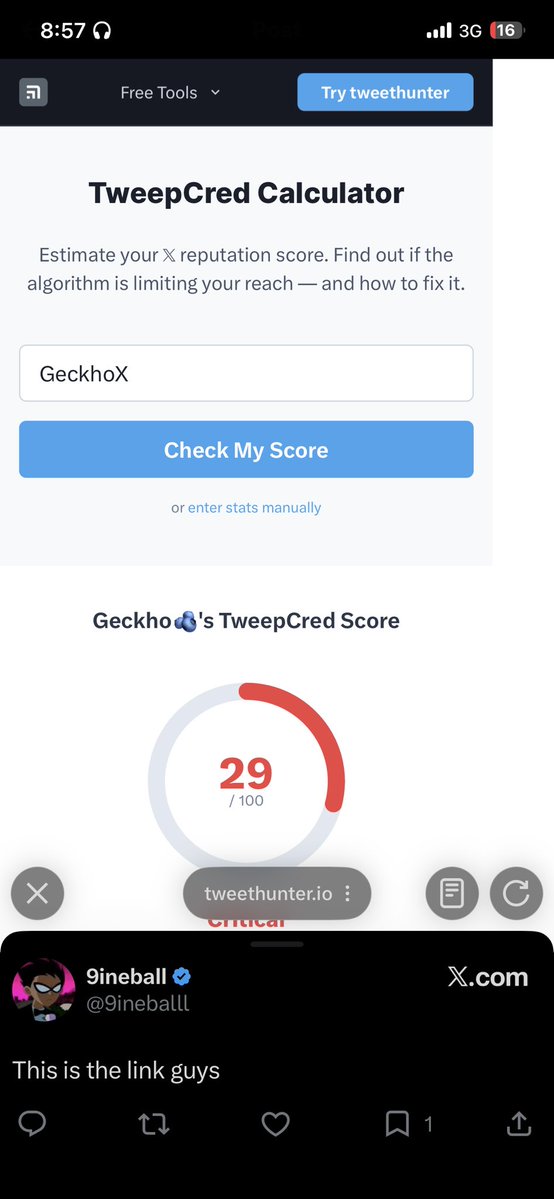 Geckho🫐 tweet media